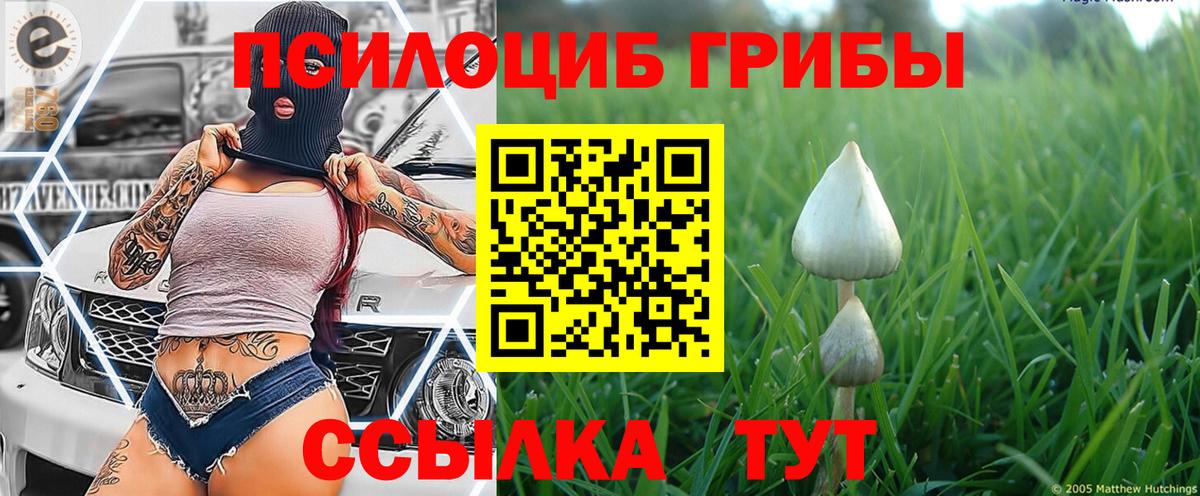 Набережные Челны  наркошоп  Вход с VPN  Галлюциногенные грибы GOLDEN TEACHER 